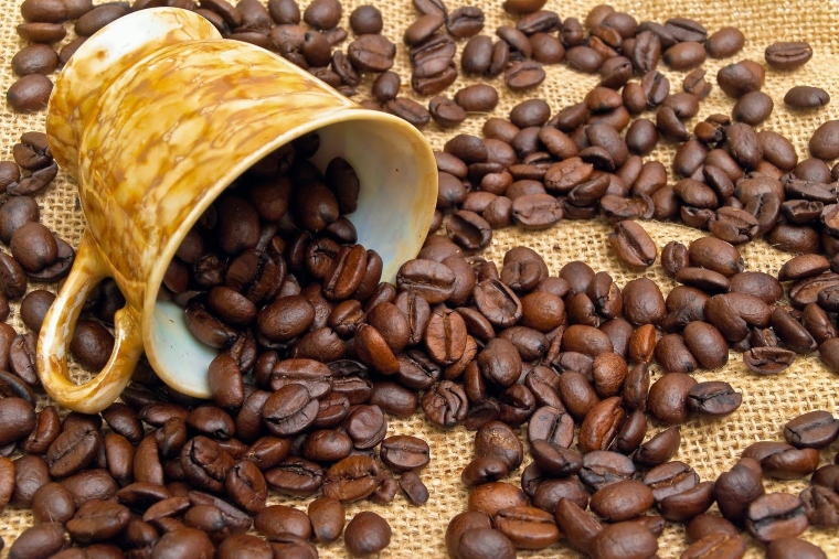 Café Arábica e Conilon finalizam com realização de lucros; condições