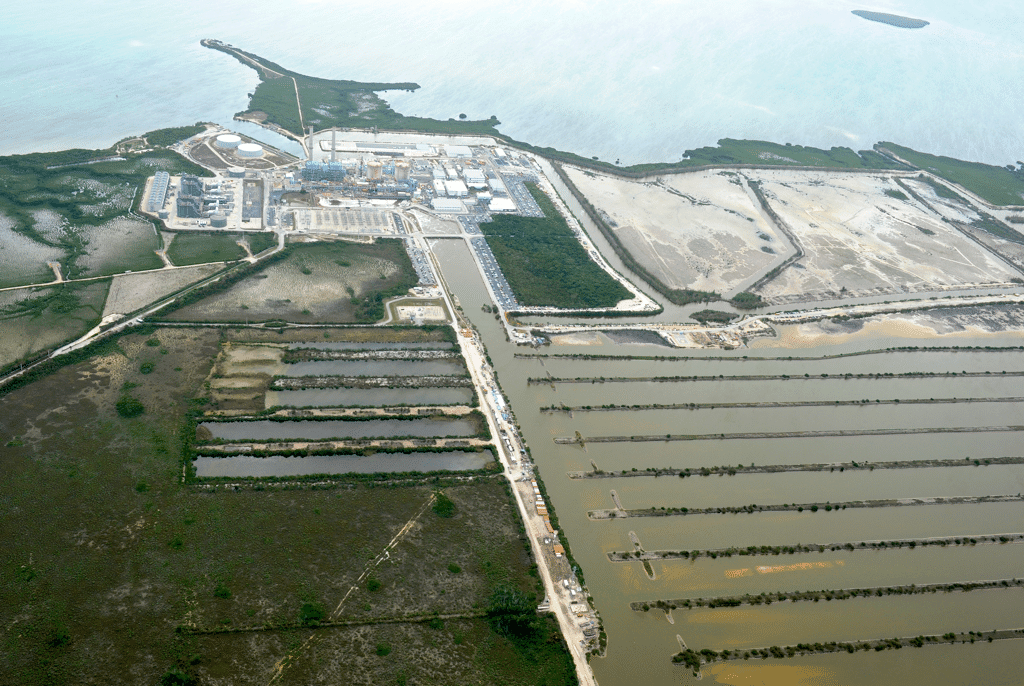 Who is targeting FP&L's Turkey Point power plant? Why? Part I Atomic