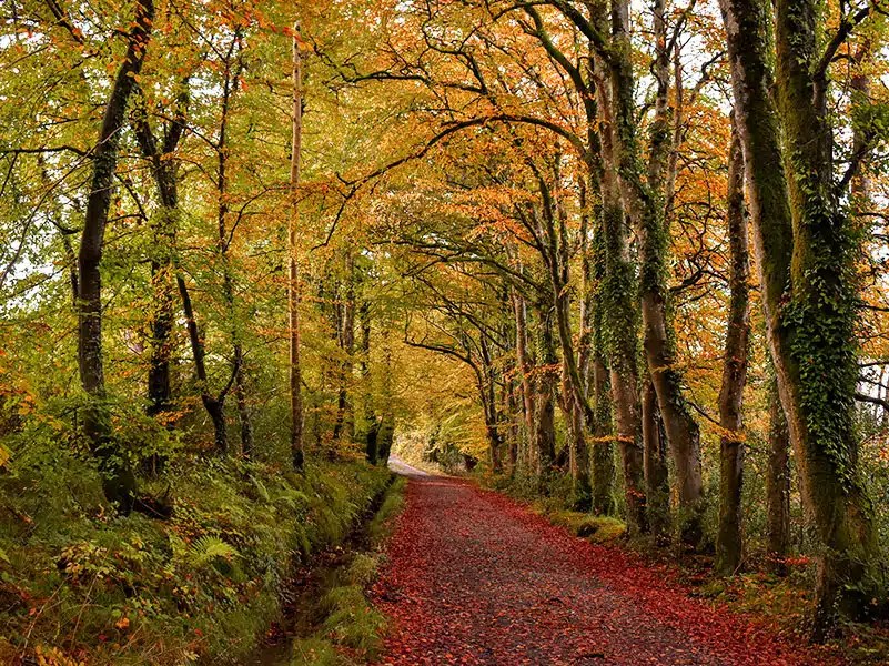 Embark on an Ireland Trip 6 Essential Factors to