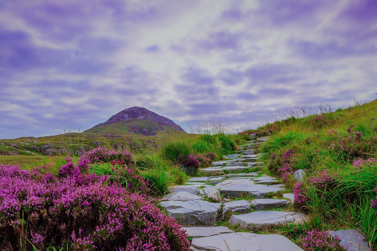 Best All Inclusive Ireland Vacations at Micheal Wiggins blog