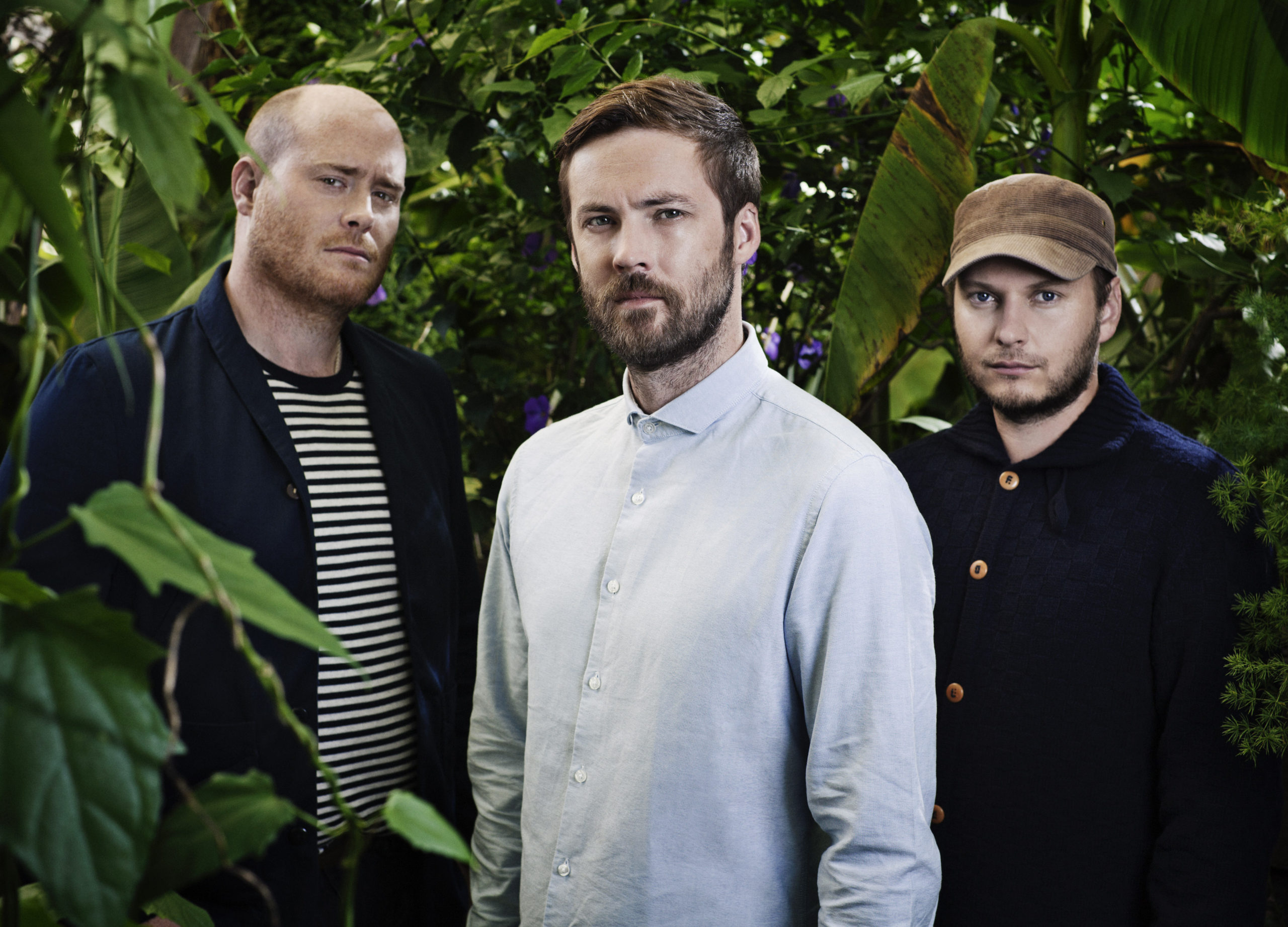 A Band of Bees ATO RECORDS