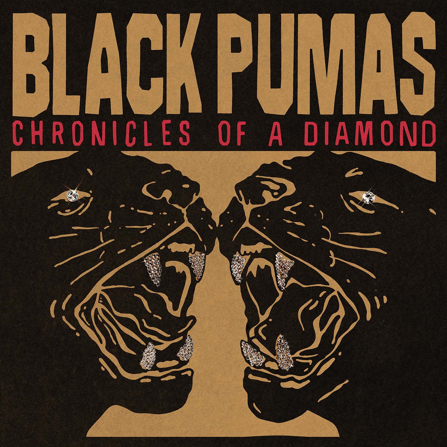 Black Pumas Anticipated Sophomore Album 'Chronicles of a Diamond