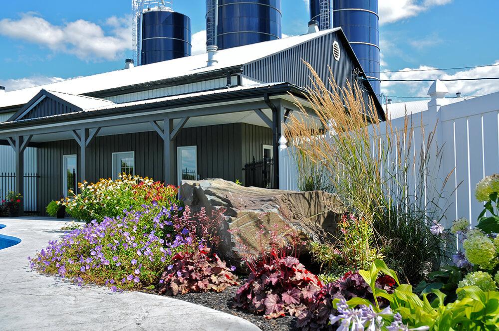 Adding LowMaintenance, Colourful Gardens Around Pool A Touch of