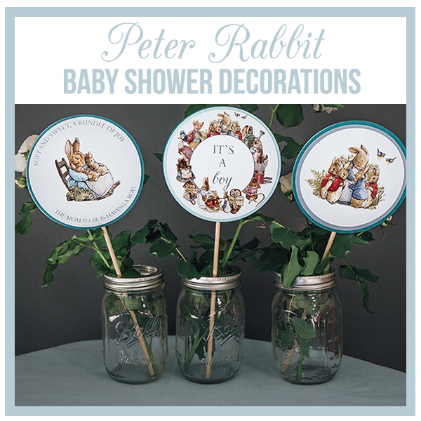 Peter Rabbit Baby Shower Decorations A Touch of LA
