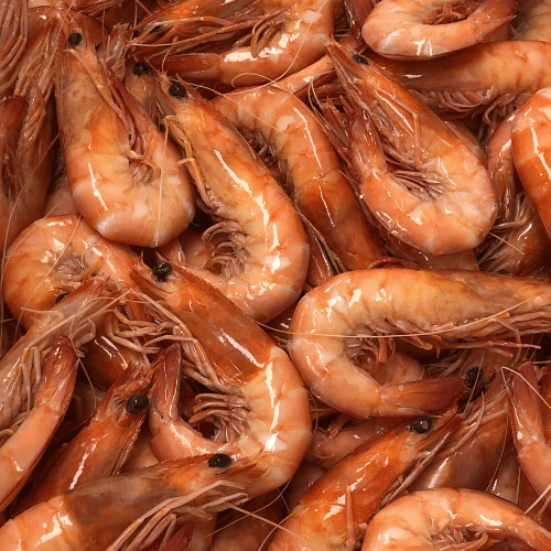 QLD Ocean King Prawns (Cooked) ATP Seafood