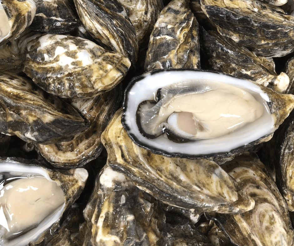 Bulk Buy 5 Dozen Premium Coffin Bay Pacific Oysters ATP Seafood