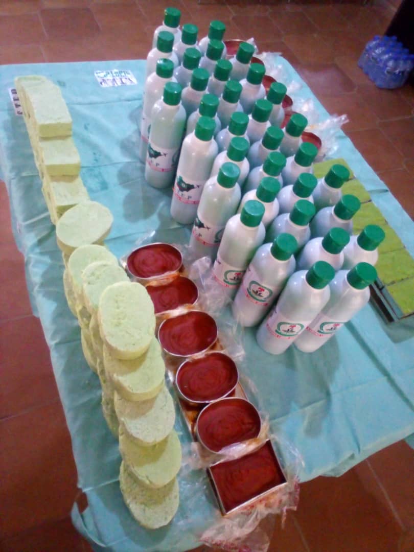Africa Nigeria’s Tourism Agency, NIHOTOUR’s Step Programme Trains 250 Youths and Women in Soap