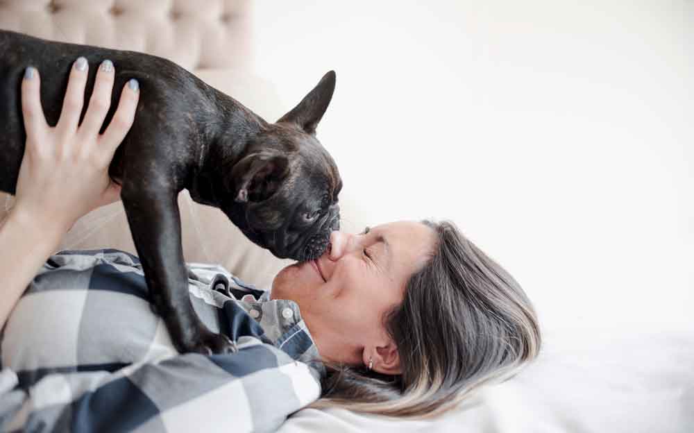 Do Dogs Have Feelings? Your Guide To Understanding Canine Emotions