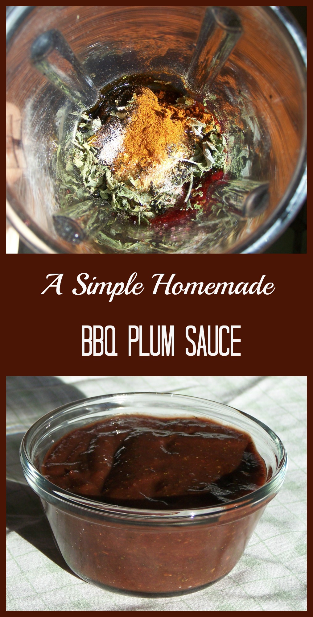 BBQ Plum Sauce • a traditional life