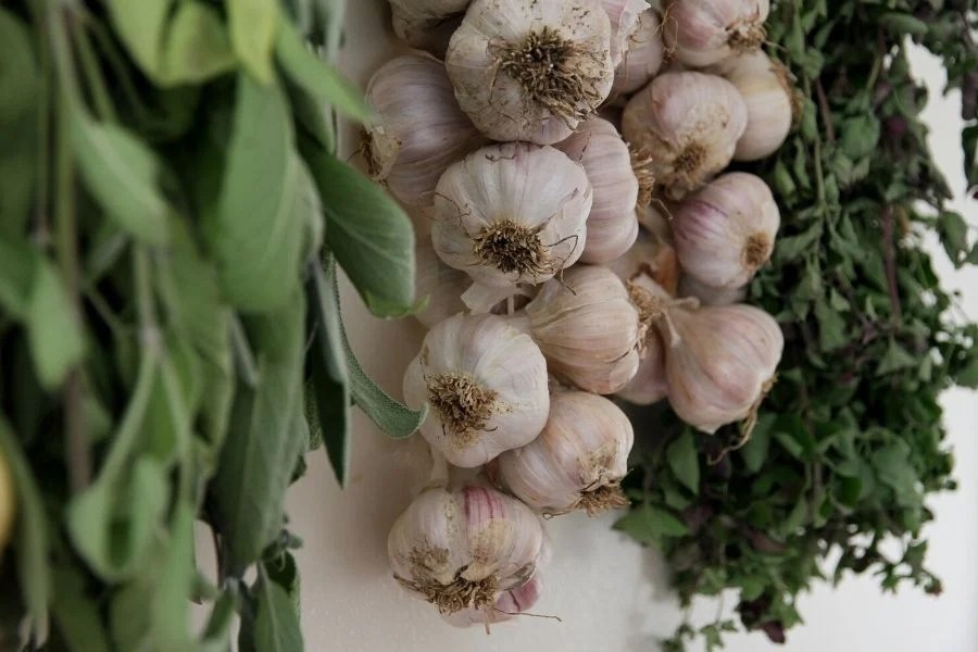 How to String Garlic Bulbs • a traditional life