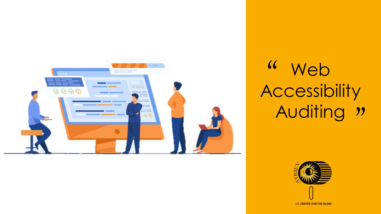 Web Accessibility Auditing