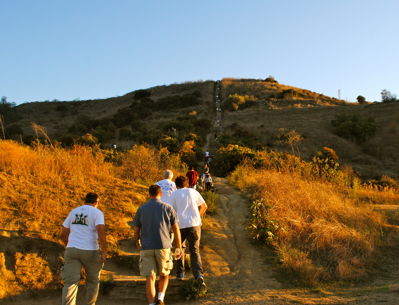 Baldwin Hills Scenic Overlook Trail A Trish Out of Water