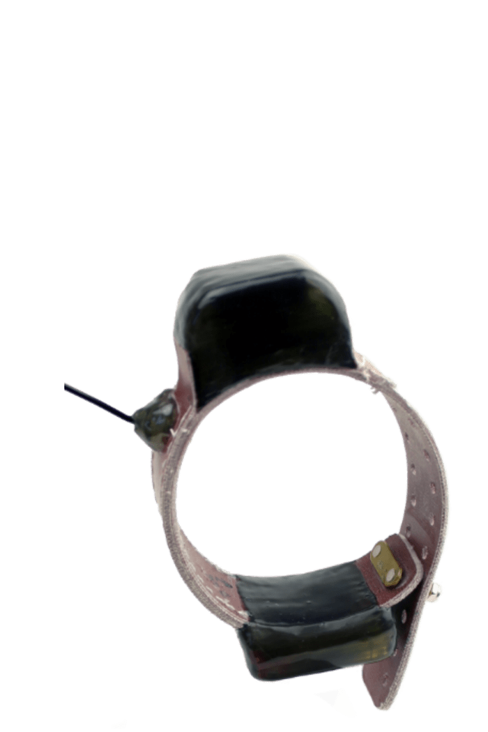 Advanced Telemetry Systems Fish and Wildlife Tracking Solutions