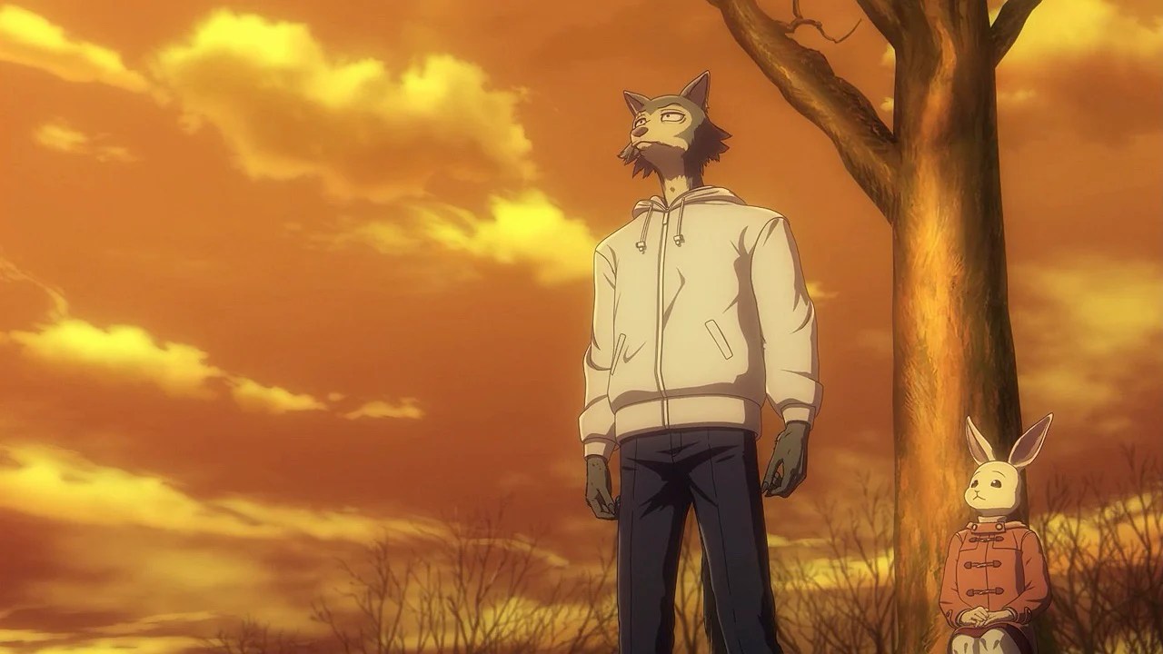 More BEASTARS Anime in the Works with New Arc Atsuko