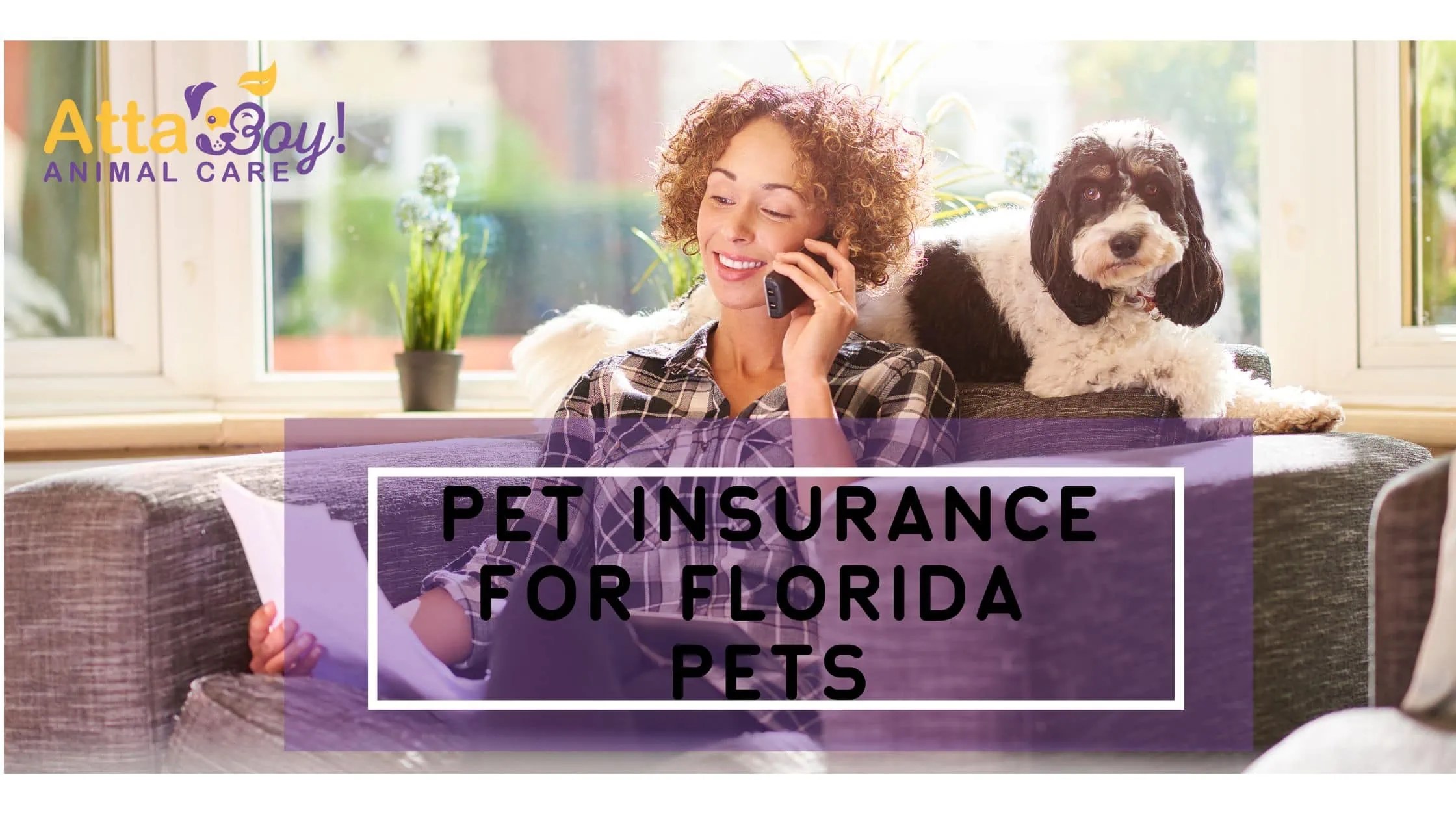 Pet Insurance for Florida Dogs, Cats + Pets Atta Boy! Animal Care