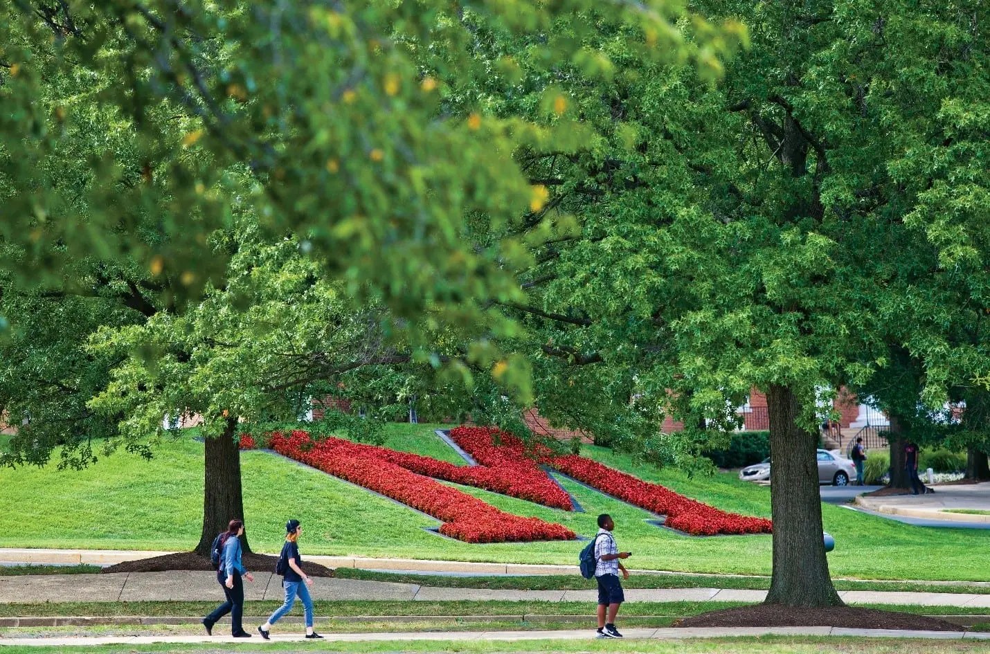 4 of the most iconic campus landscapes—and the impact they have on