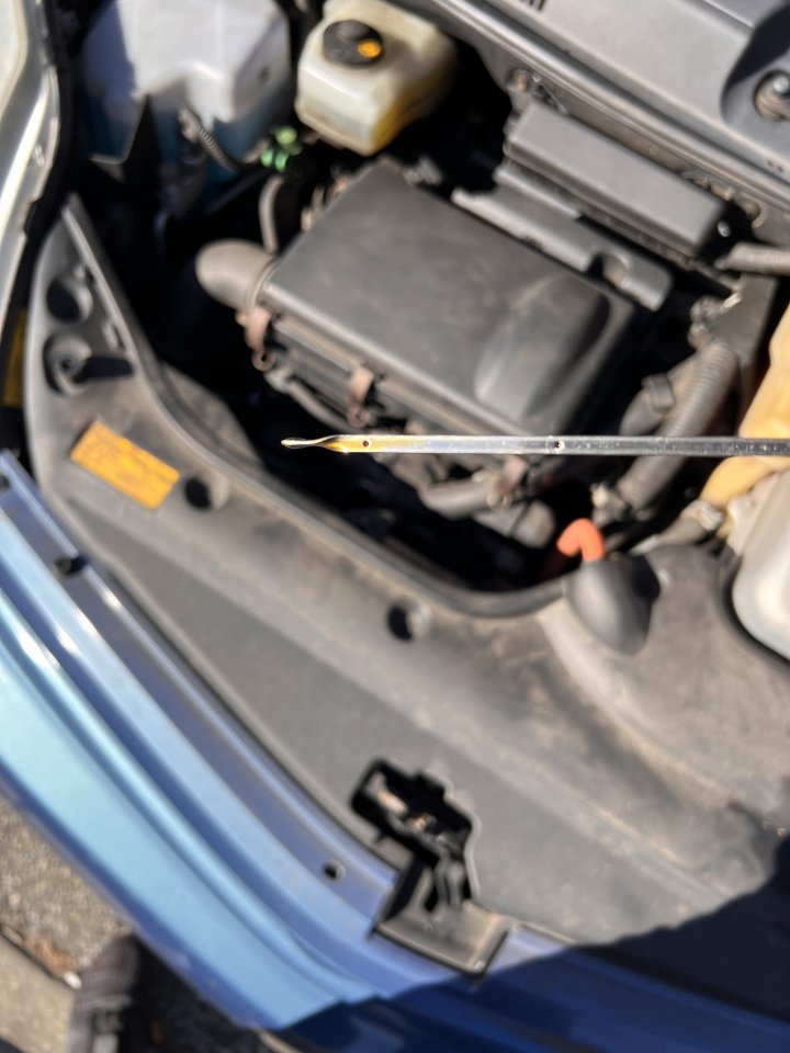 Oil dipstick reading? | PriusChat