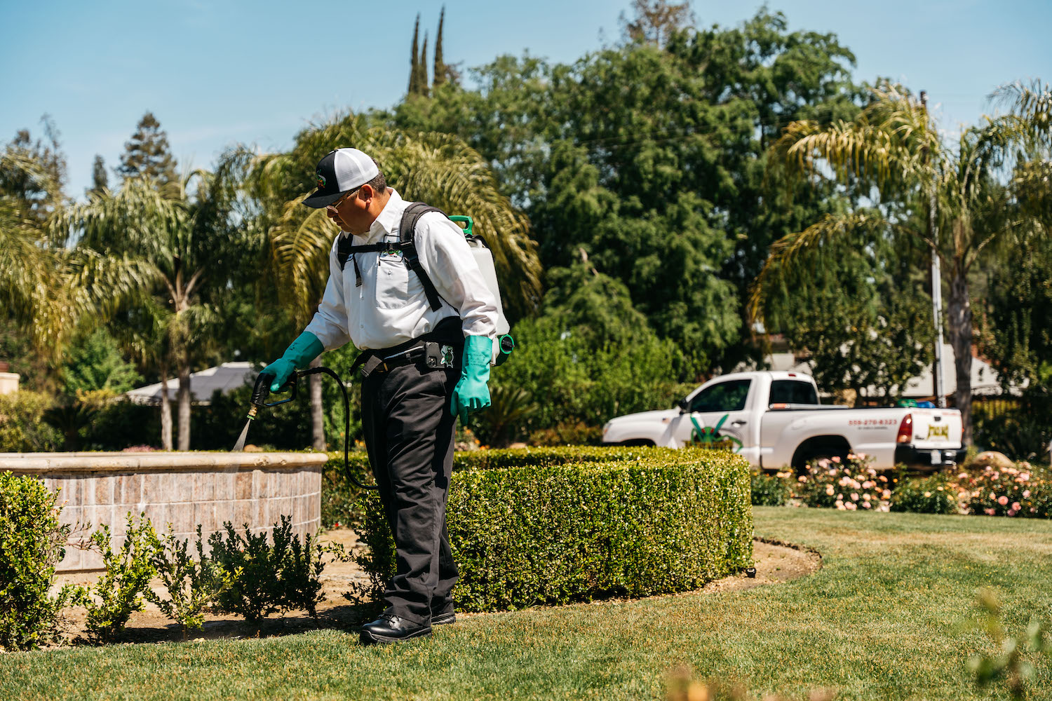 Attack Back Pest Control Fresno Dinuba Reedley Kerman