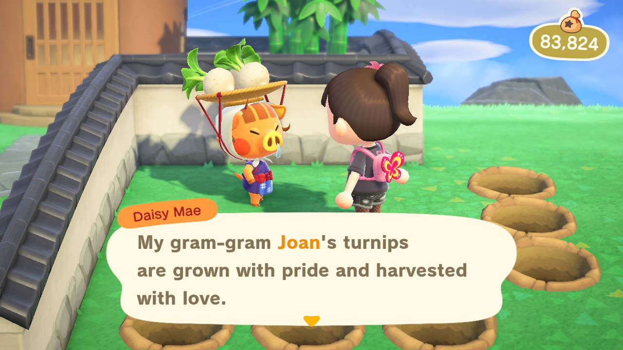 How to Corner the Stalkmarket in Animal Crossing New Horizons A Guide