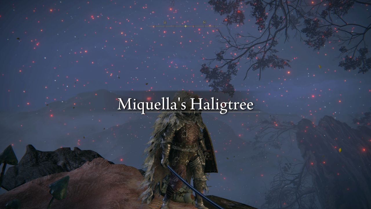 Elden Ring Secret Area How to Get to Miquella's Haligtree Attack of