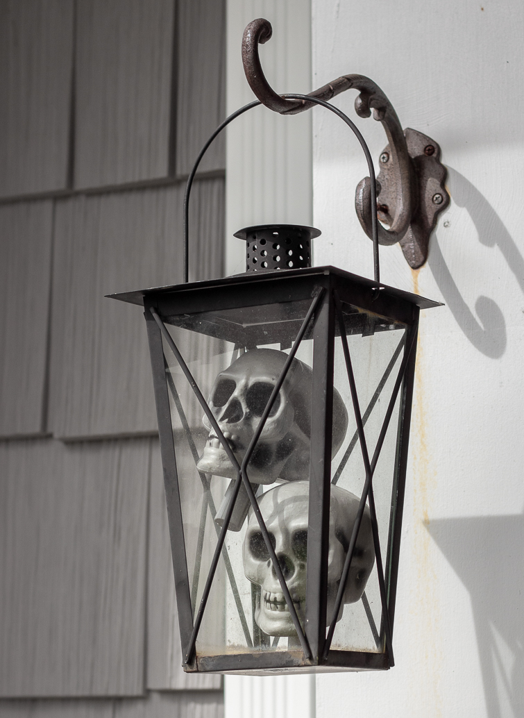 plastic skulls in a black lantern are inexpensive dollar store Halloween decorations