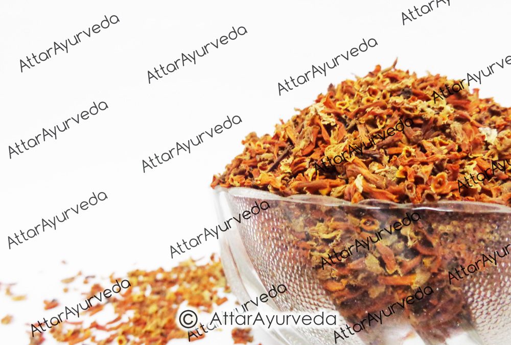Buy Harsingar Flower Parijat Phool Nyctanthes Arbor Tristis Attar