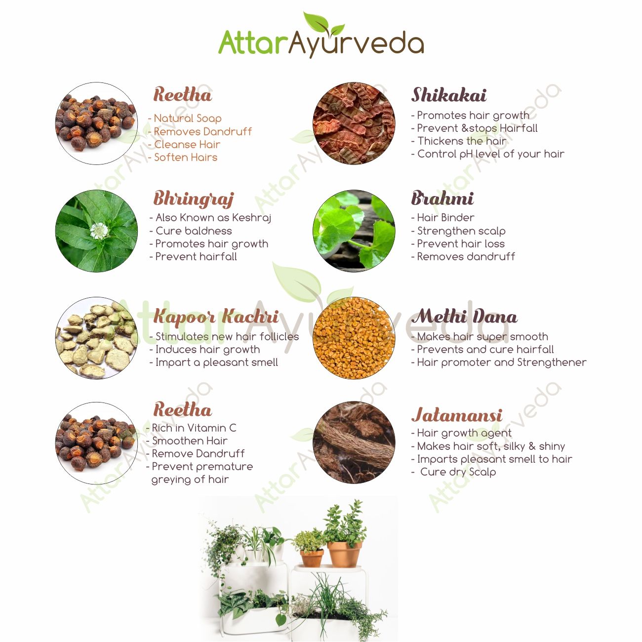 All in One Herbal Hair Care Pack For all Hair problems Attar Ayurveda