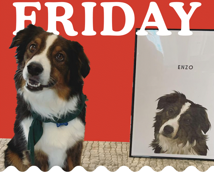 Order your gifts soon 🎄 🐶 West & Willow