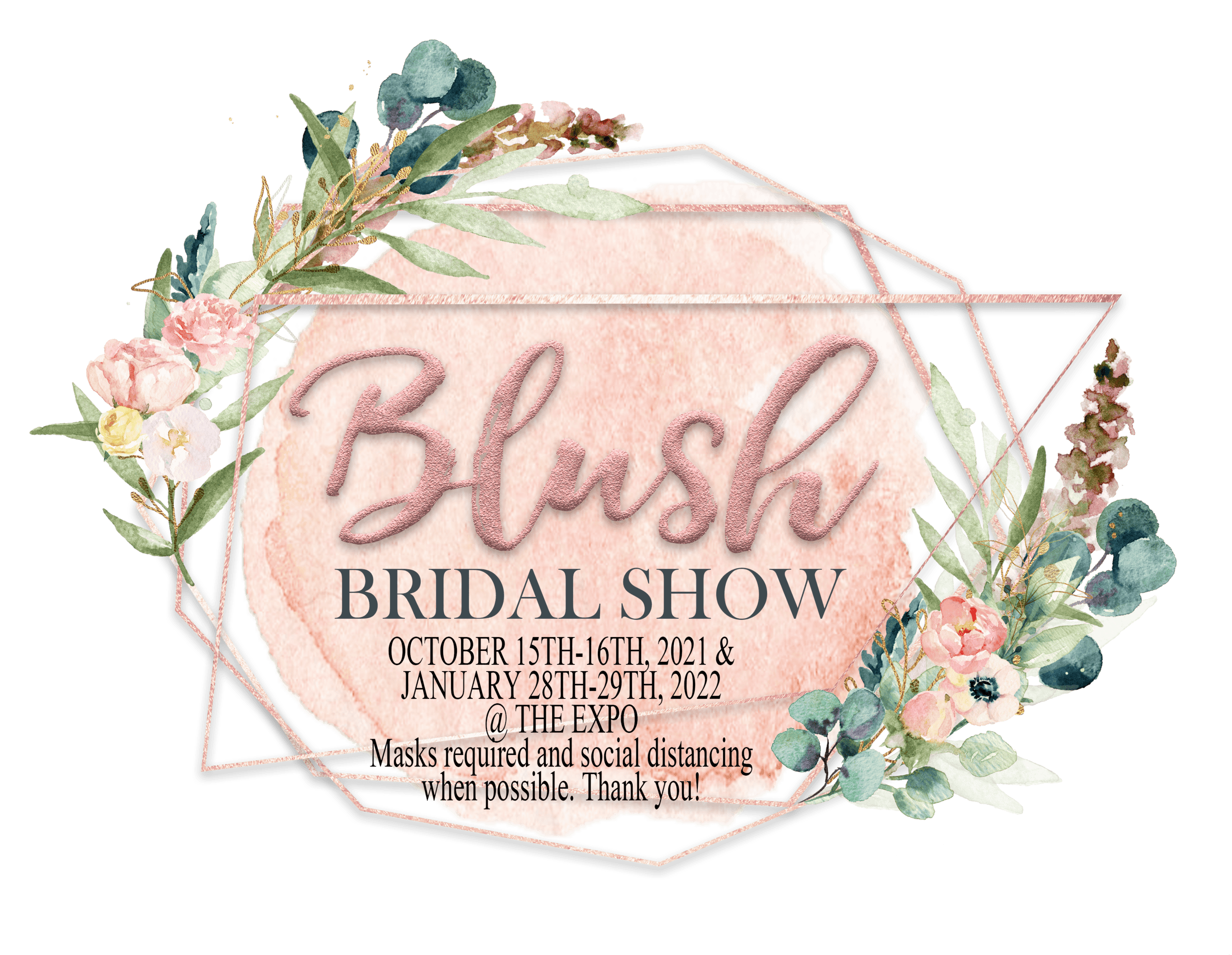 Blush Bridal Show Dresses Images 2022