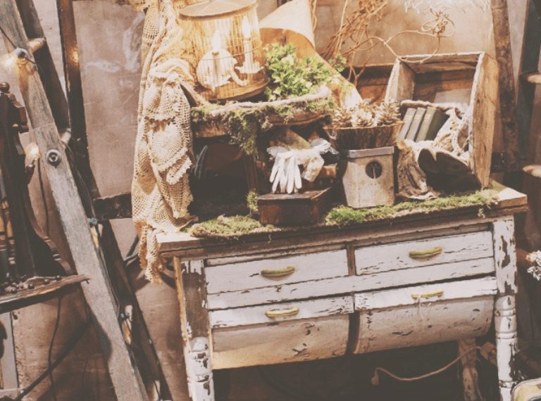 Jackson County Expo Events 2023 The Expo Jackson County Oregon