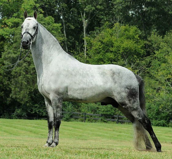 LINED UP AT THE RITZ Rising Star Ranch