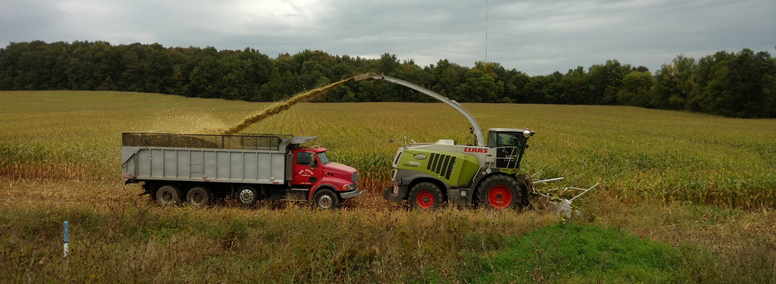 Attica Veterinary Associates, P.C.