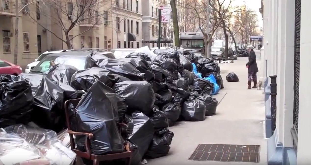 New York City rats are getting bigger