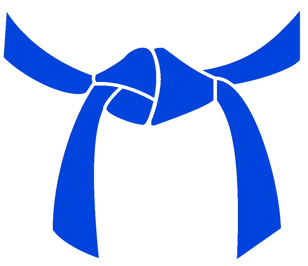 Attitude First UMAS Intermediate Blue Belt Requirements