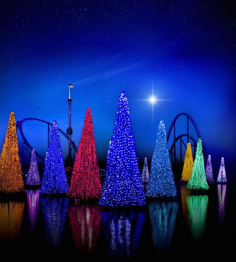 Christmas At Seaworld Orlando 2023 SeaWorld Orlando’s Christmas Celebration returns with new Sesame Street