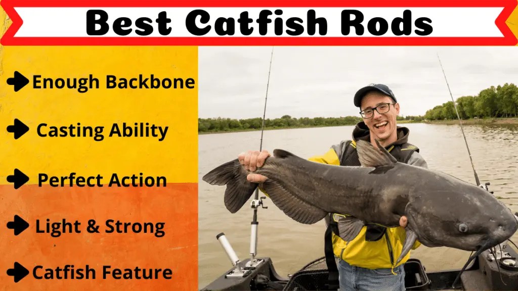 Best Catfish Rods In 2023 [Catfish Special]