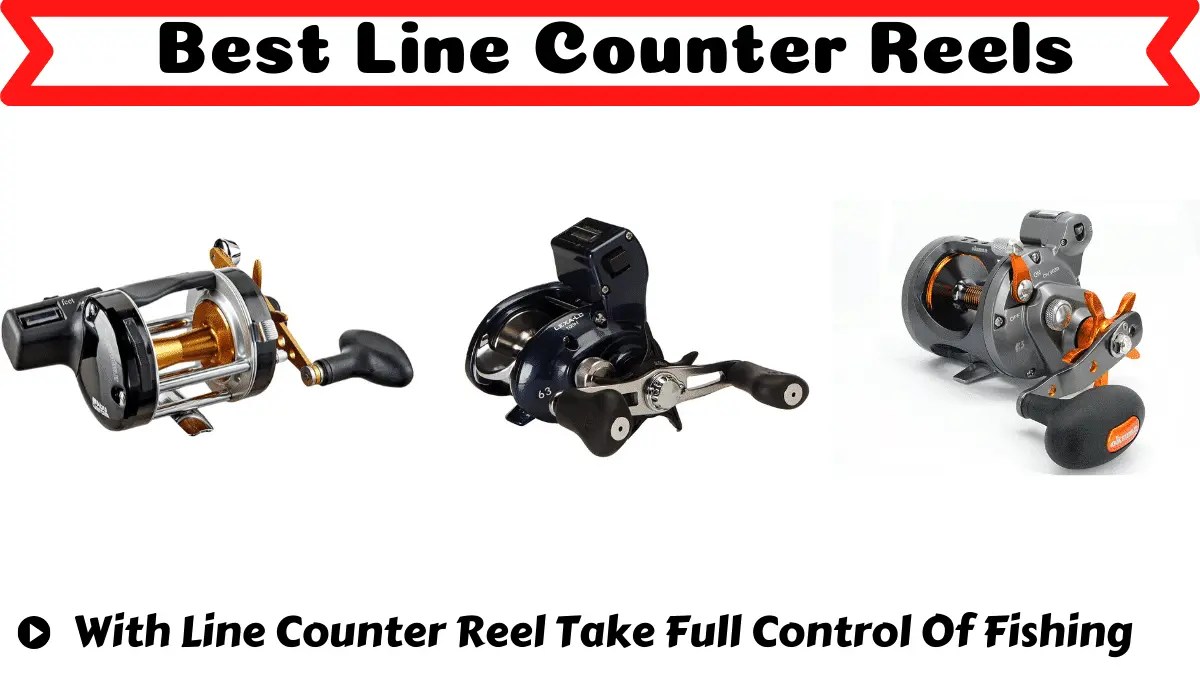 9 Best Line Counter Reels In 2023 Attractive Fishing