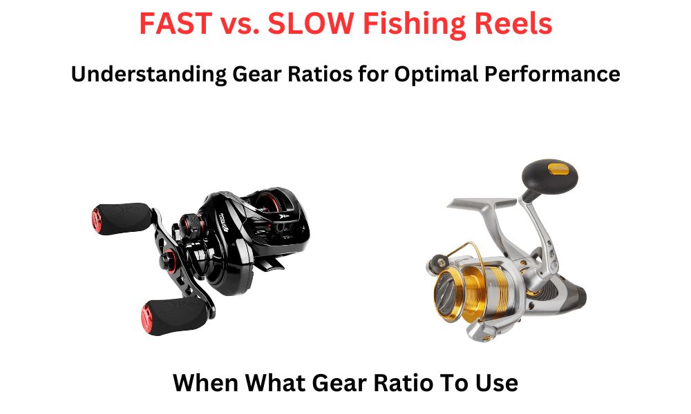 FAST vs. SLOW Fishing Reels Understanding Gear Ratios for Optimal