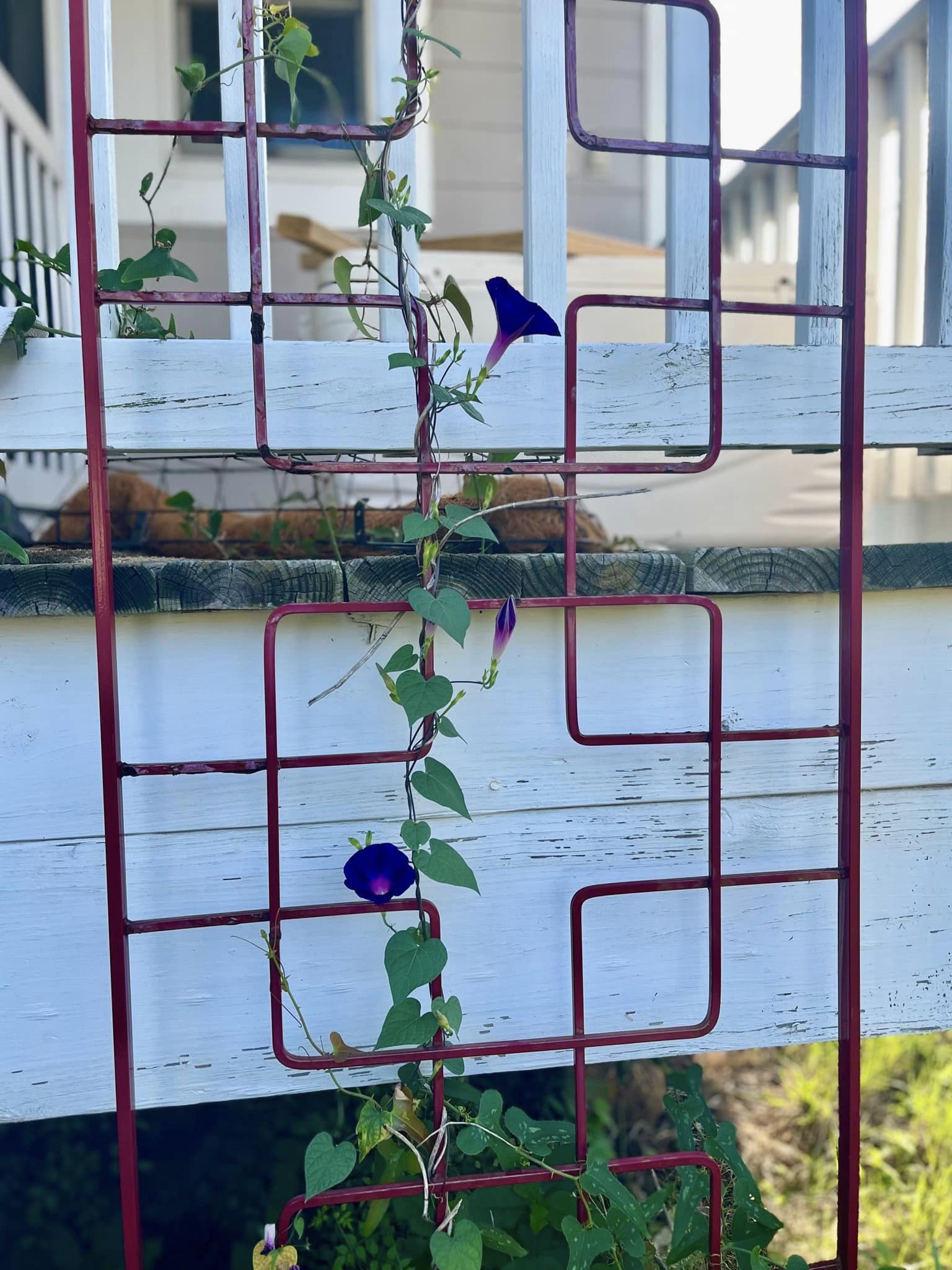 Gated Communities At Water’s Edge