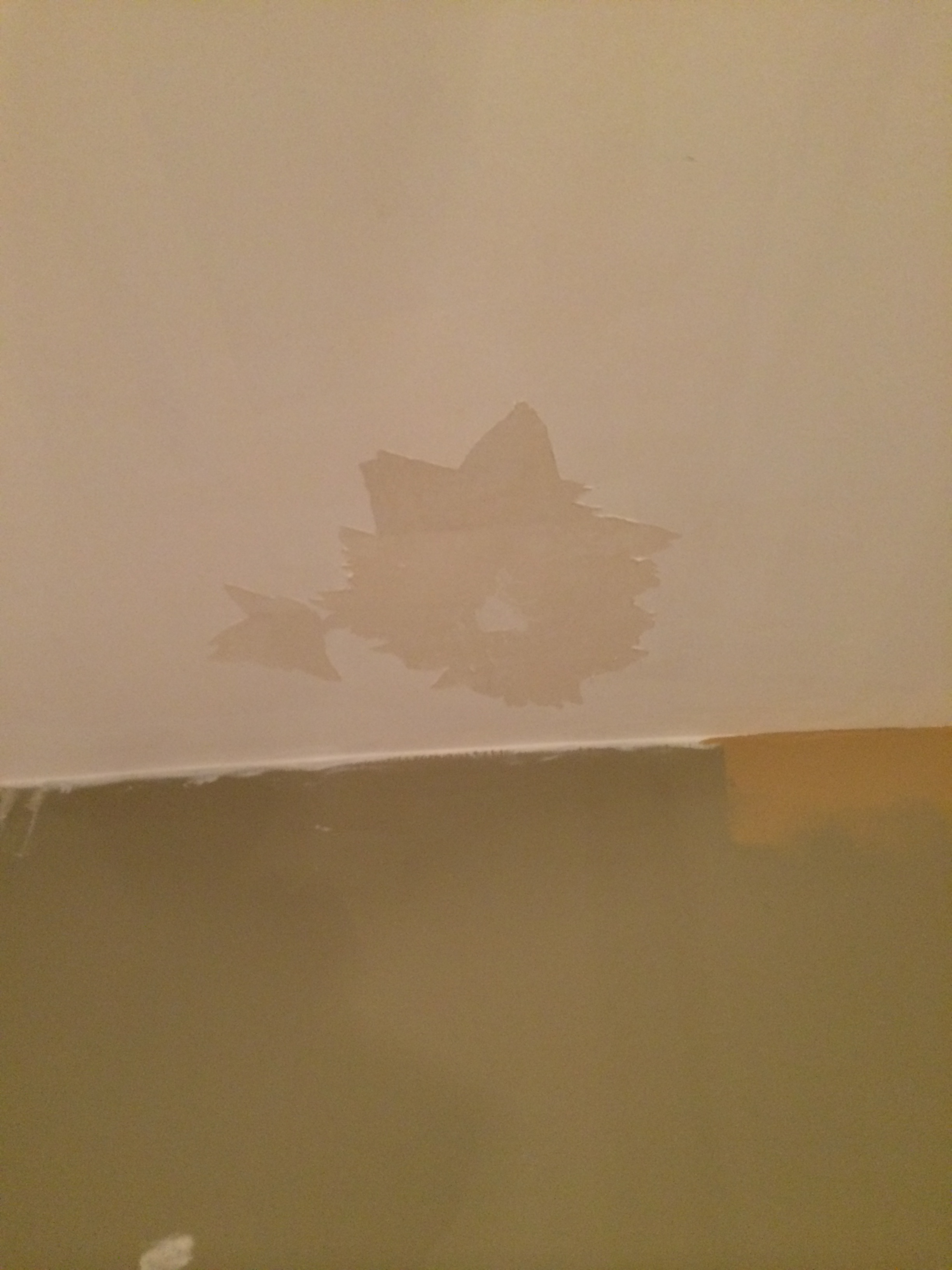 Popcorn Ceilings At Wilson Mann