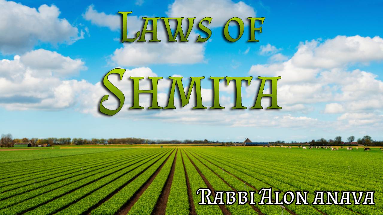 Atzmut The future of Torah learning » Laws of Shmita