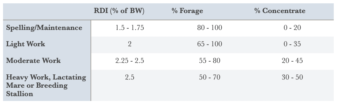 How much should I feed my horse? The essential 5 step guide for horse