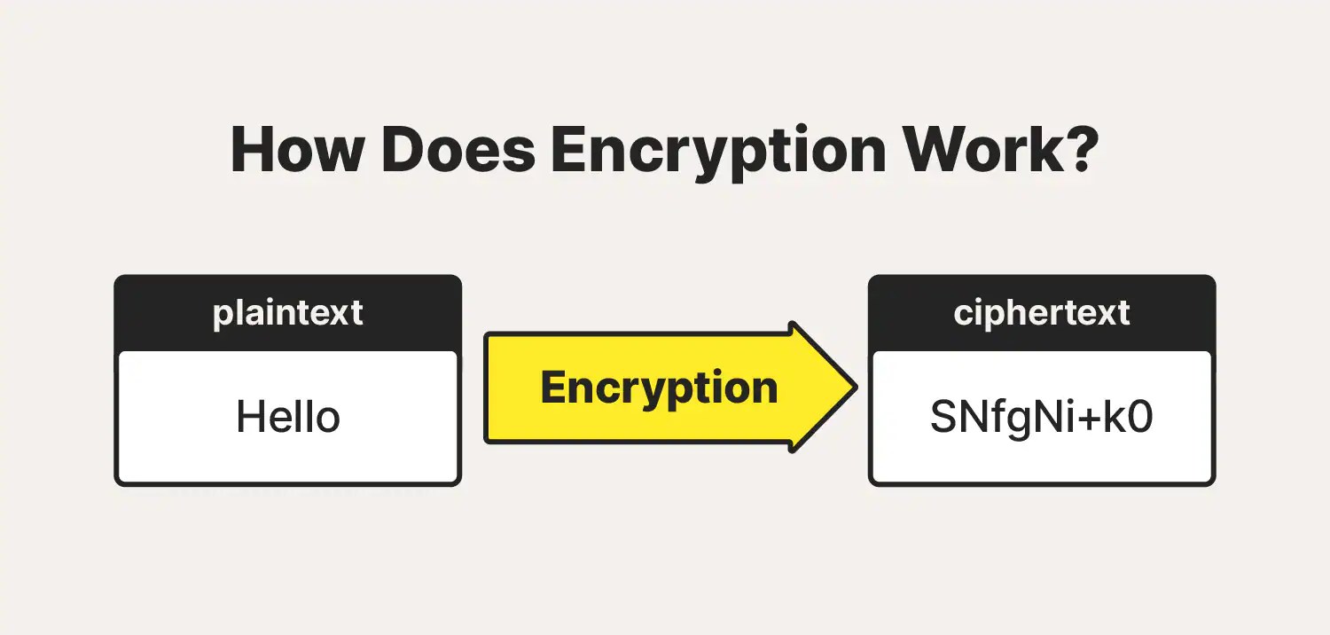 What is encryption? How it works + types of encryption Norton