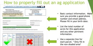 Advantages of Alpacas — Tax benefits may be possible