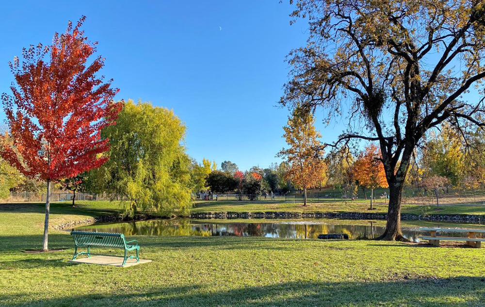 Ashford Park Auburn Recreation District