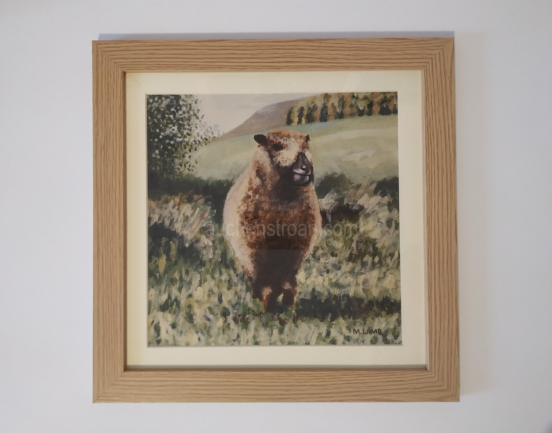 Gifts for sheep lovers Auchenstroan Wool