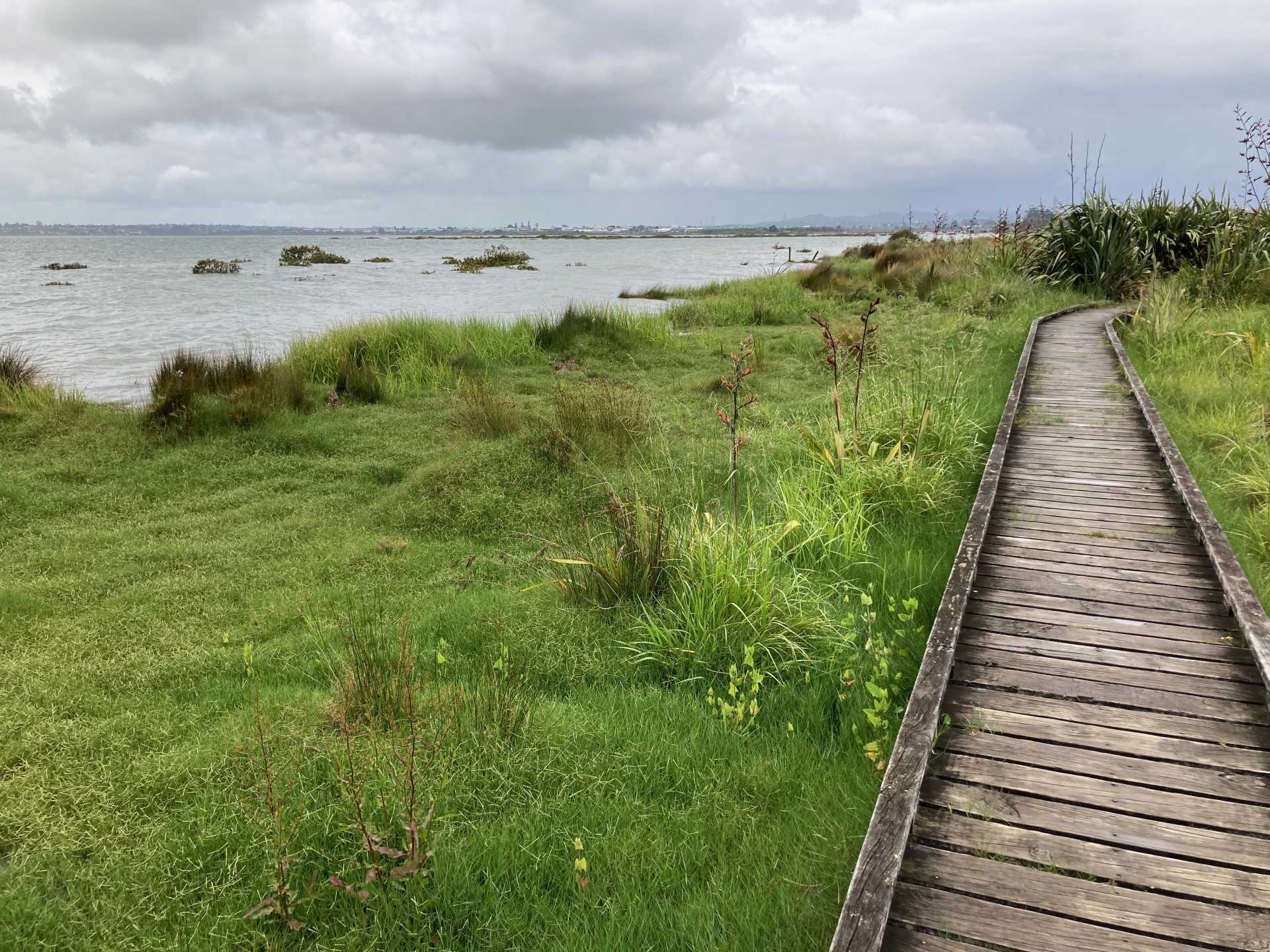 King Tide Event 27.11.22 King Tides Auckland