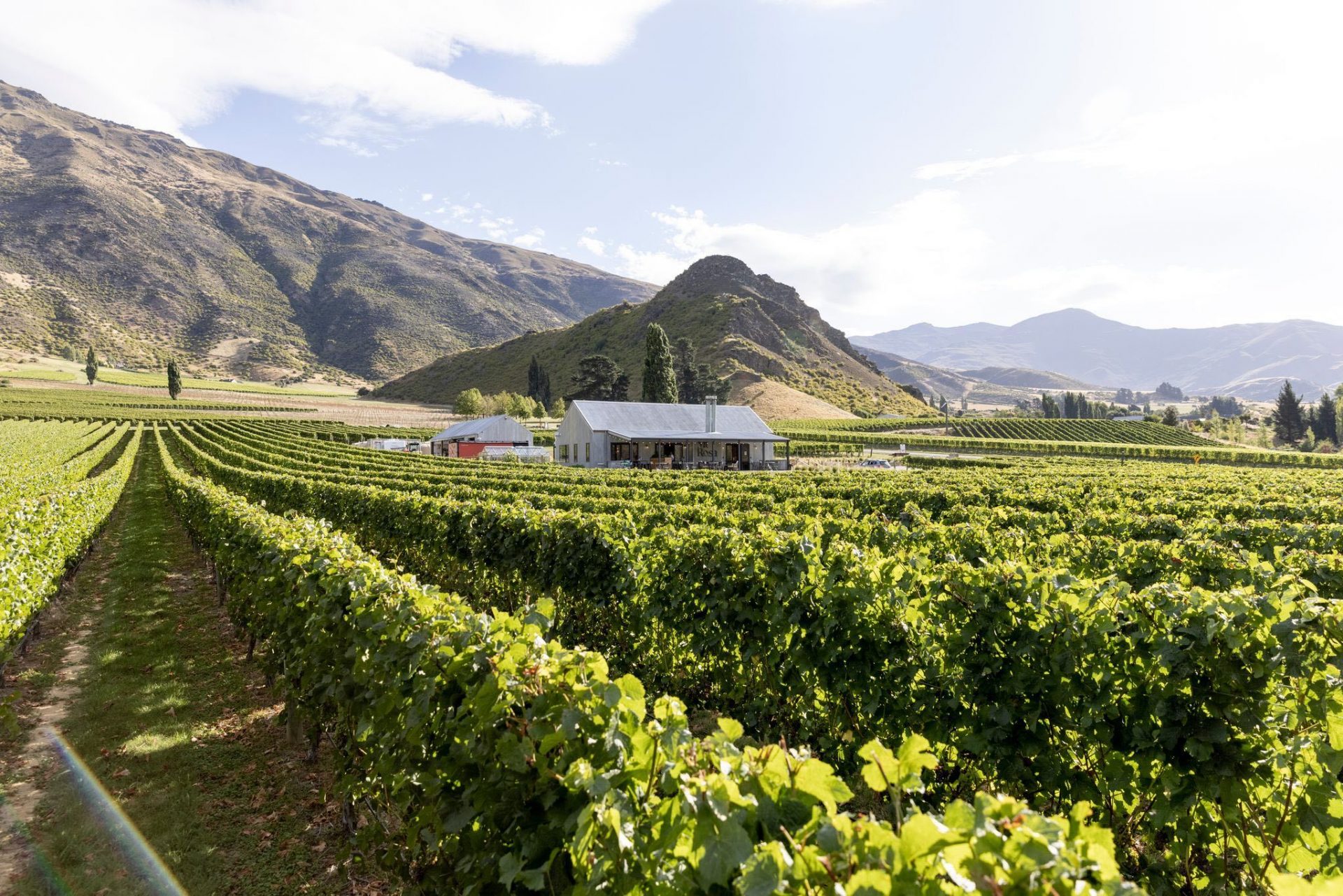 Half Day Wine Tour Queenstown A&B