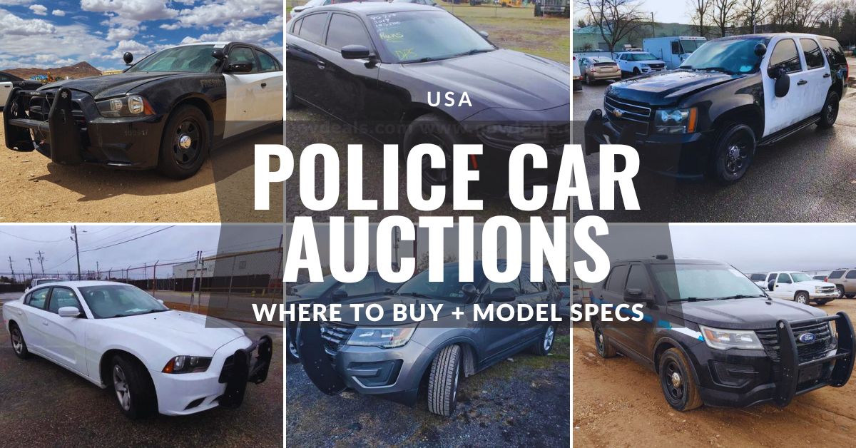 ExPolice Interceptors and PPV at Auction Where to Buy + Models