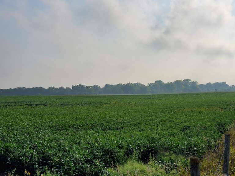 Hanson & Davison Co. SD Crop & Pasture Land 406.86+/ Acres